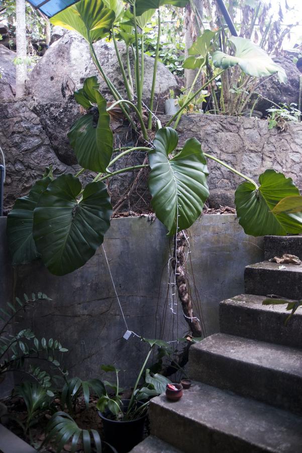 Butterfly Jewel Bed & Breakfast Unawatuna Ngoại thất bức ảnh