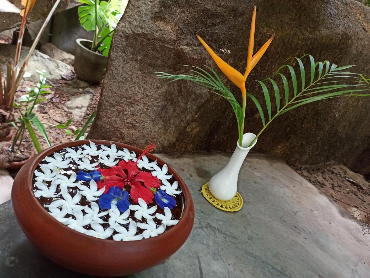 Butterfly Jewel Bed & Breakfast Unawatuna Ngoại thất bức ảnh